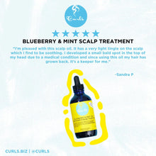 Load image into Gallery viewer, Curls - Blueberry &amp; Mint Scalp Treatment
