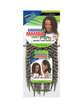 Load image into Gallery viewer, Medium Mambo Twist Braid 12&quot; - Janet Collection Crochet Braiding Hair
