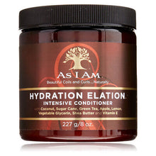 Load image into Gallery viewer, [As I Am] Hydration Elation Intensive Conditioner 8Oz
