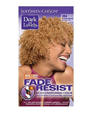 Load image into Gallery viewer, Dark&amp;Lovely Fade Resist Rich Conditioning Hair Color #384 Light Golden Blonde
